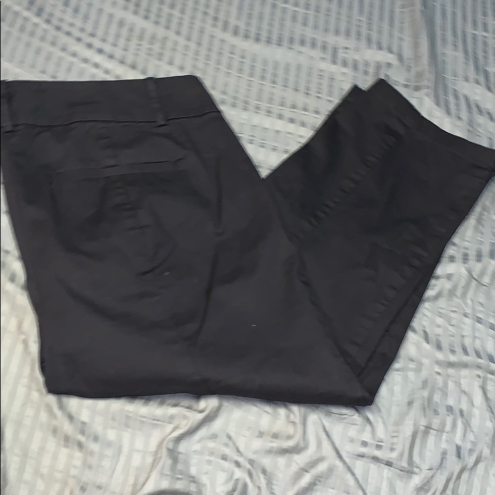 Ann Taylor • Capris Slacks